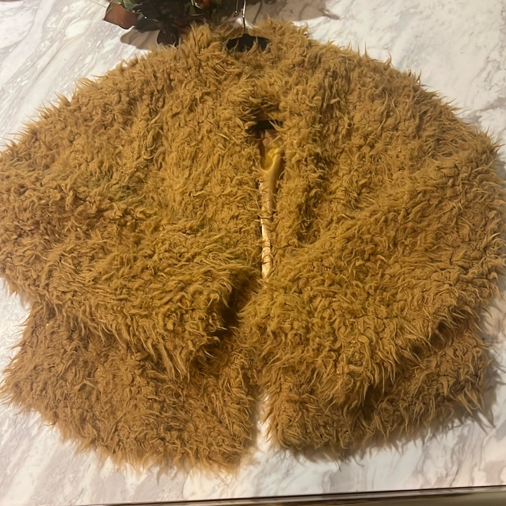 Shaggy fur